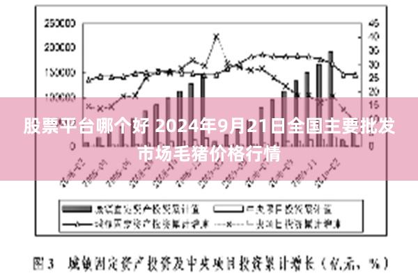 股票平台哪个好 2024年9月21日全国主要批发市场毛猪价格行情
