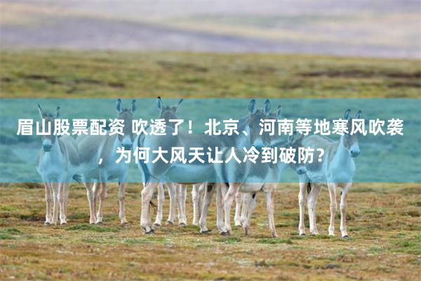 眉山股票配资 吹透了！北京、河南等地寒风吹袭，为何大风天让人冷到破防？