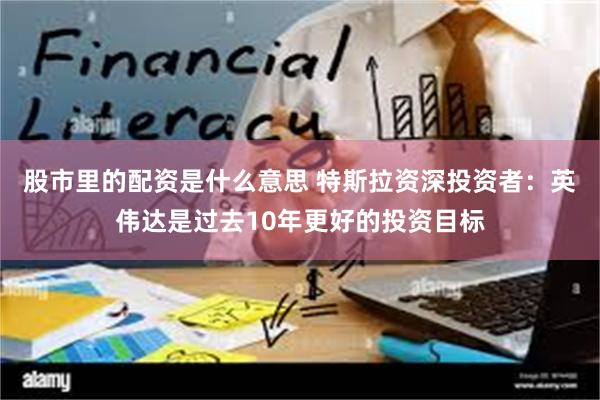 股市里的配资是什么意思 特斯拉资深投资者：英伟达是过去10年更好的投资目标