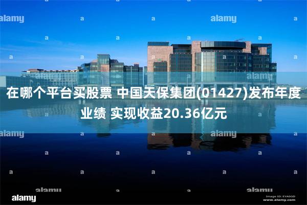 在哪个平台买股票 中国天保集团(01427)发布年度业绩 实现收益20.36亿元