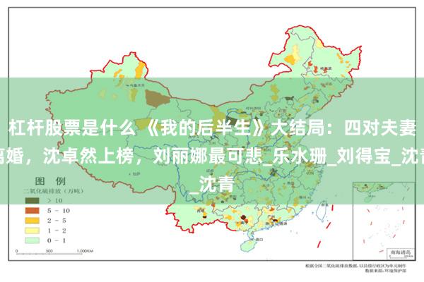 杠杆股票是什么 《我的后半生》大结局：四对夫妻离婚，沈卓然上榜，刘丽娜最可悲_乐水珊_刘得宝_沈青