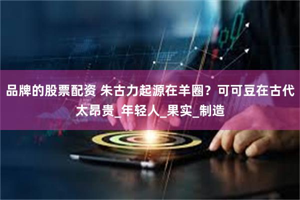 品牌的股票配资 朱古力起源在羊圈？可可豆在古代太昂贵_年轻人_果实_制造