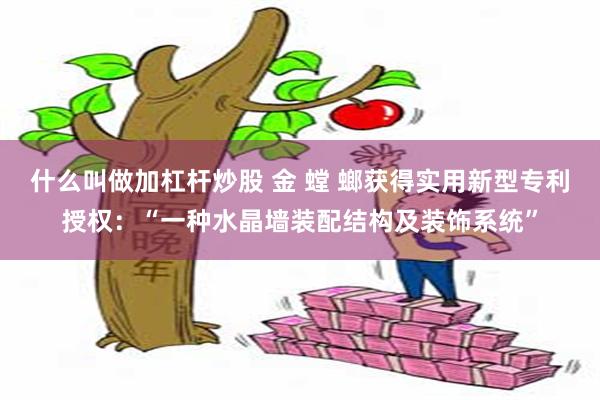 什么叫做加杠杆炒股 金 螳 螂获得实用新型专利授权：“一种水晶墙装配结构及装饰系统”