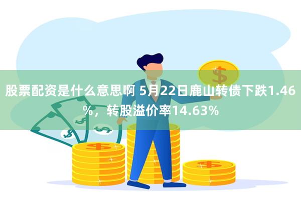 股票配资是什么意思啊 5月22日鹿山转债下跌1.46%，转股溢价率14.63%