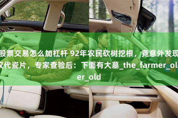 股票交易怎么加杠杆 92年农民砍树挖根，竟意外发现汉代瓷片，专家查验后：下面有大墓_the_farmer_old