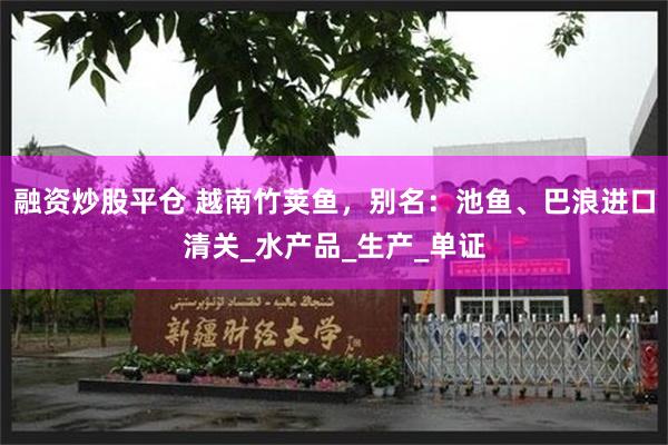 融资炒股平仓 越南竹荚鱼，别名：池鱼、巴浪进口清关_水产品_生产_单证