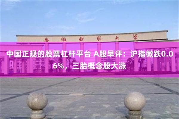 中国正规的股票杠杆平台 A股早评：沪指微跌0.06%，三胎概念股大涨