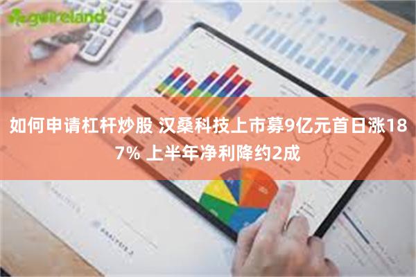 如何申请杠杆炒股 汉桑科技上市募9亿元首日涨187% 上半年净利降约2成