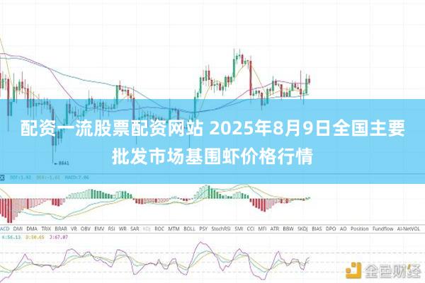 配资一流股票配资网站 2025年8月9日全国主要批发市场基围虾价格行情