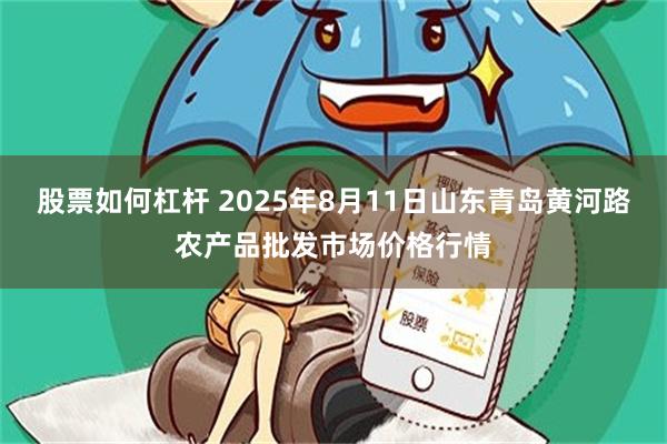 股票如何杠杆 2025年8月11日山东青岛黄河路农产品批发市场价格行情