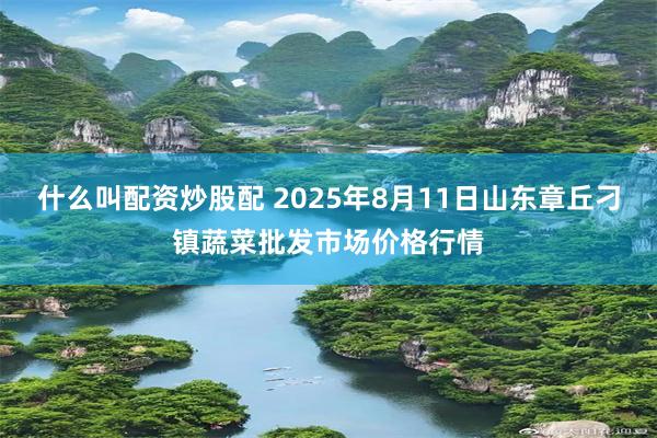 什么叫配资炒股配 2025年8月11日山东章丘刁镇蔬菜批发市场价格行情