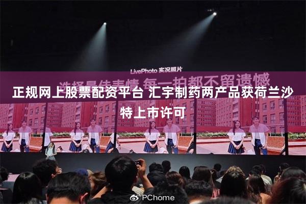 正规网上股票配资平台 汇宇制药两产品获荷兰沙特上市许可