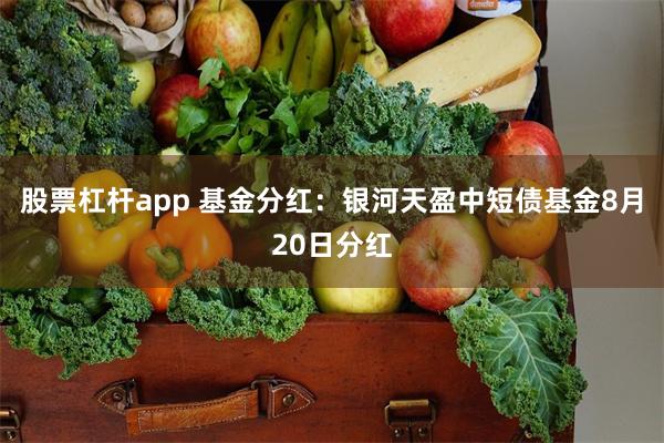 股票杠杆app 基金分红：银河天盈中短债基金8月20日分红