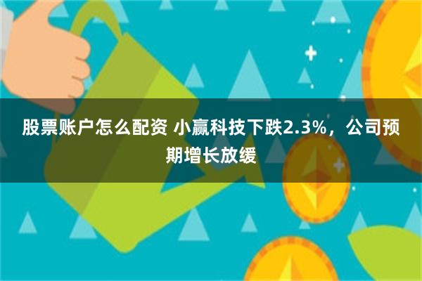 股票账户怎么配资 小赢科技下跌2.3%，公司预期增长放缓